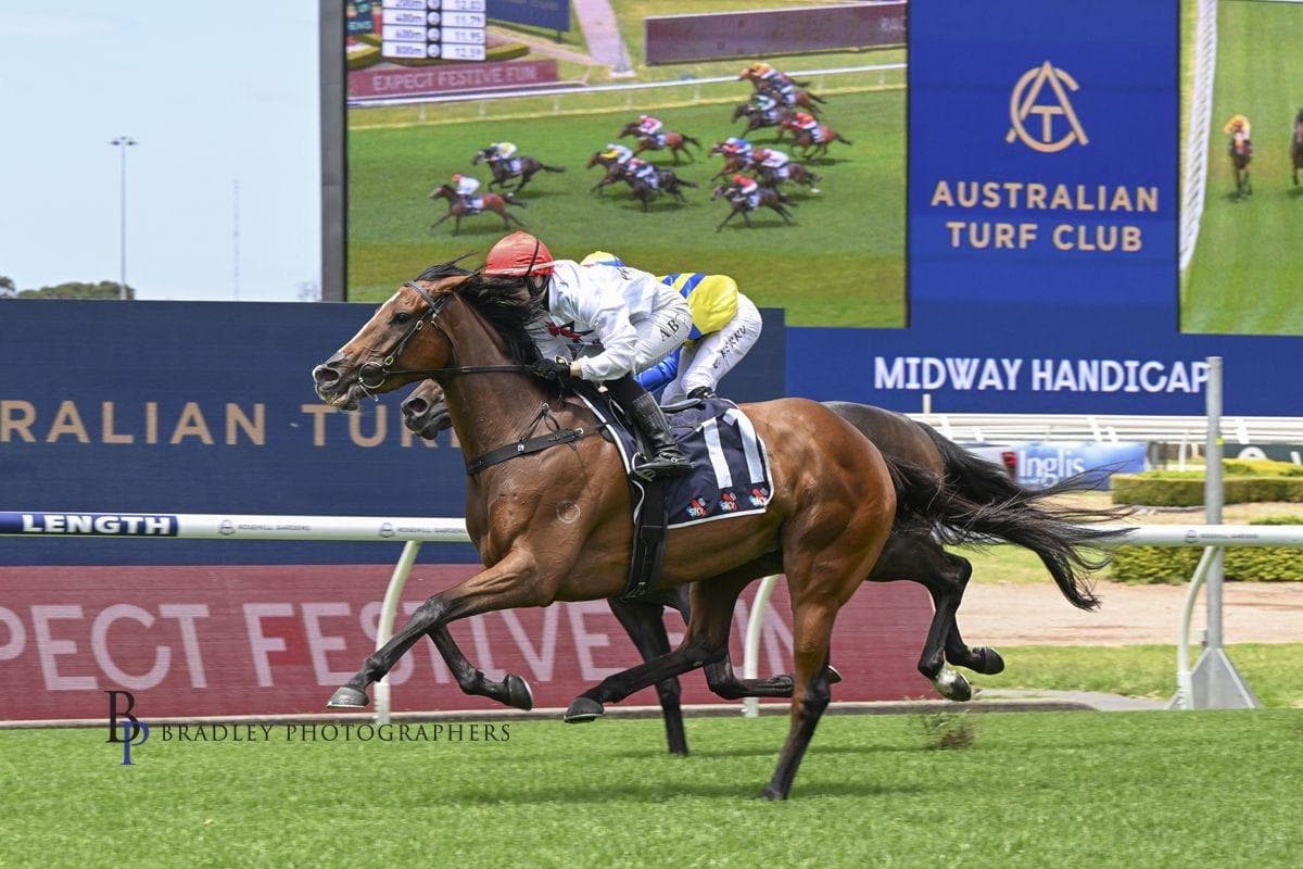 Geemes Midway Success!