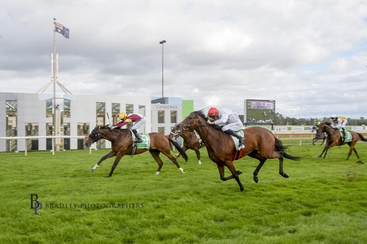 Geemes 2nd in Canberra Cup